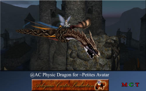 Dragon physique pour petites avatar