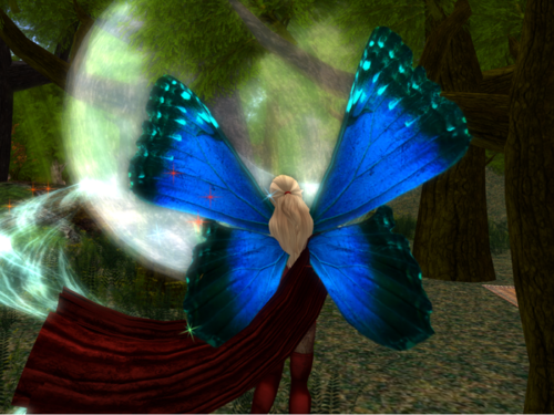 Ailes-Petites-Morphos 006