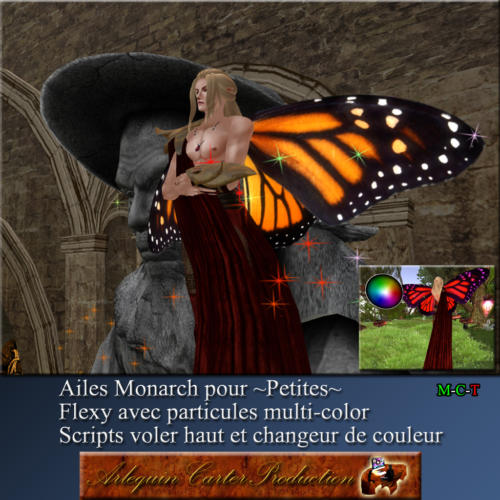 Ailes-monarch-petites