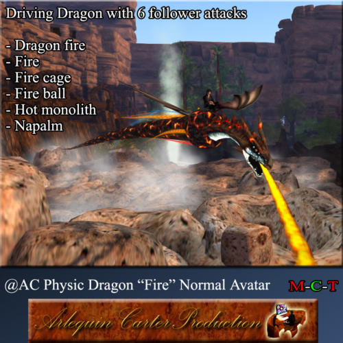 Dragon Physique