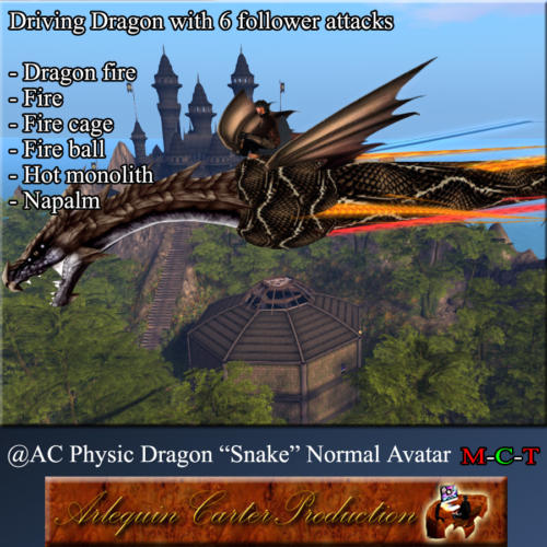 CV-Dragon-Snake