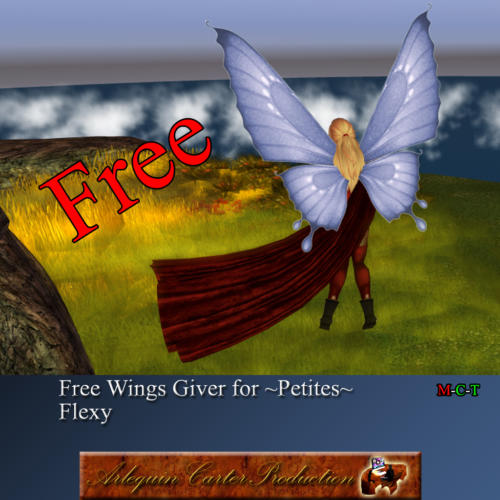 Free-Ailes-petites-giver