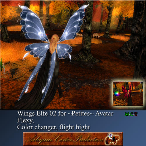 petites-wings-elfes-002--fl